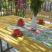 Appartements Popovic-Risan, (STD) - Studio apartman br.1, Privatunterkunft im Ort Risan, Montenegro - Terasa pogld na more 2